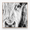 C757-Ewan-Oak-Canvas-Print