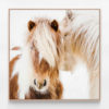C785-Whisper-Oak-Canvas-Print