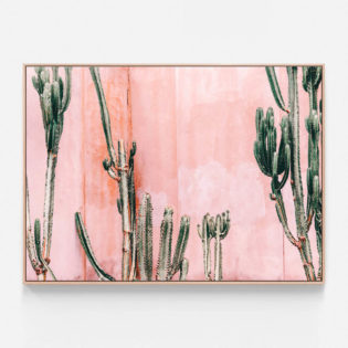 C805-Pastel-Cacti-Oak-Canvas-Print