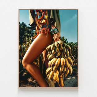 C854-Banana-Republic-Oak-Canvas-Print