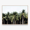 C920-Island-Vibes-Oak-Canvas-Print