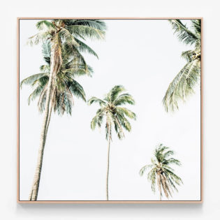 C930-Summer-Palms-2-Oak-Canvas-Print