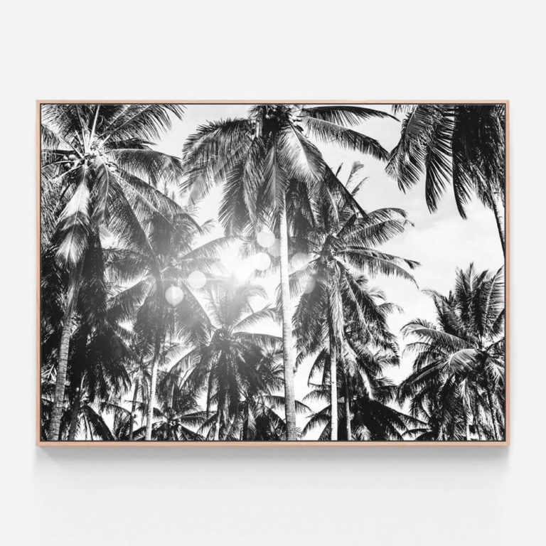 C938-Palm-Bokeh-Oak-Canvas-Print