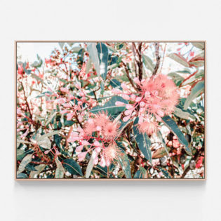 C985-Australian-Florals-Oak-Canvas-Print