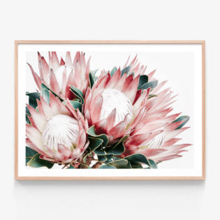 Protea-Cluster-Oak-Framed-Print