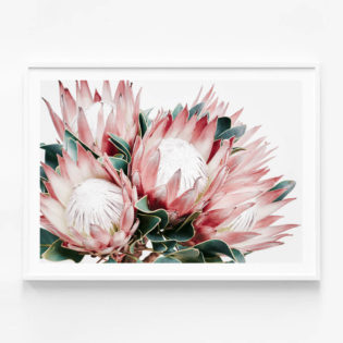 Protea Cluster | Framed Print or Canvas Wall Art | 41 Orchard