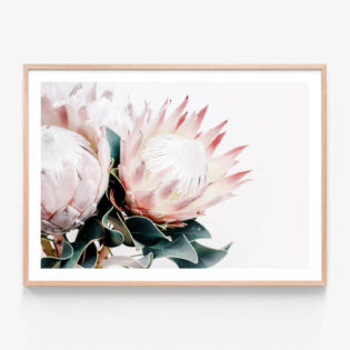 Protea-Bouquet-Oak-Framed-Print