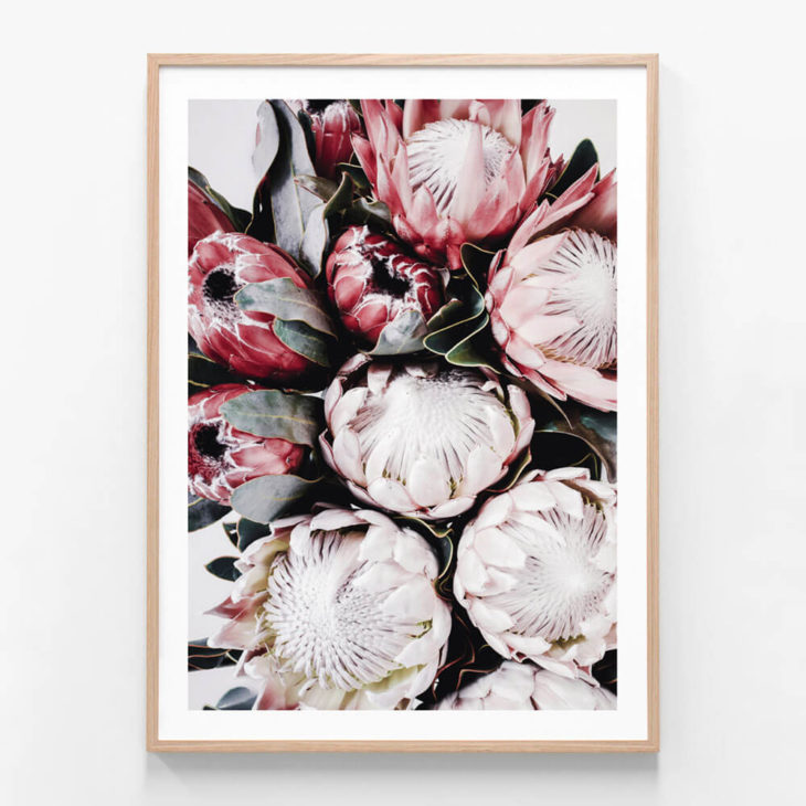 Vintage Protea Oak Framed Print