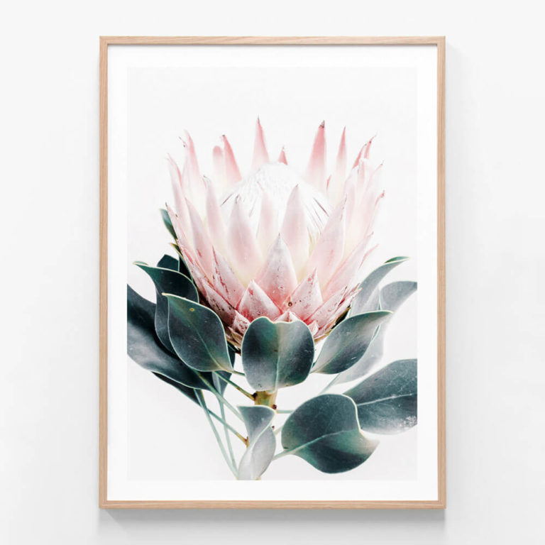 Protea-Print-Oak-Framed-Print