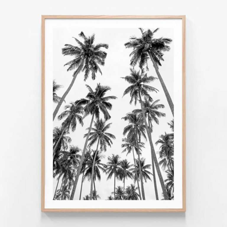 Palm-Sky-Oak-Framed-Print