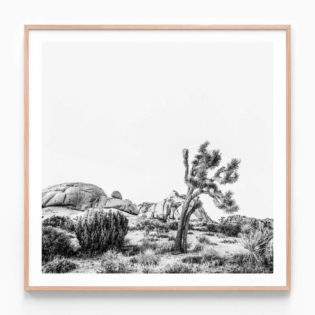 Twentynine Palms Oak Framed Print