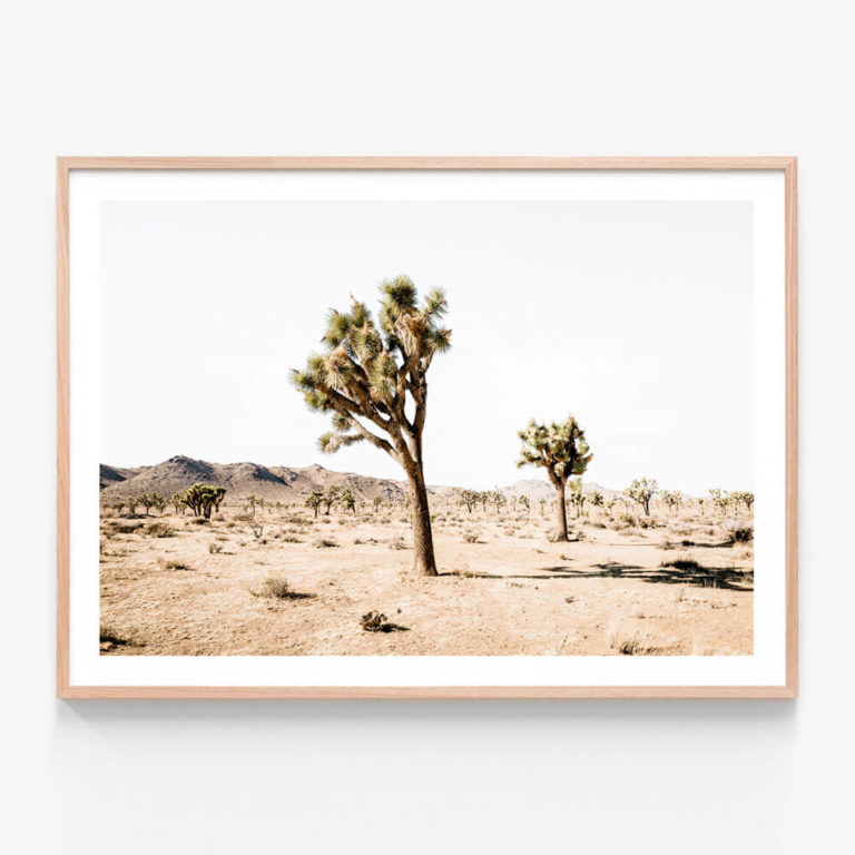 Yucca-Valley-Oak-Framed-Print