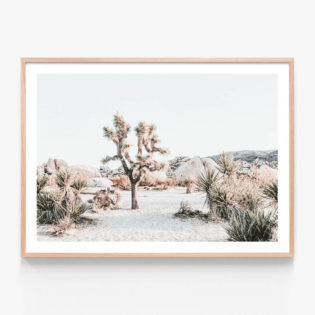 Joshua-Tree-Sunrise-Oak-Framed-Print
