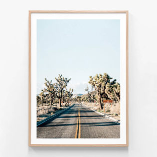 Desert-Road-Oak-Framed-Print