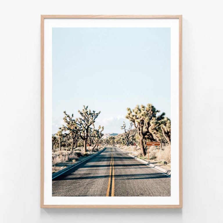 Desert-Road-Oak-Framed-Print