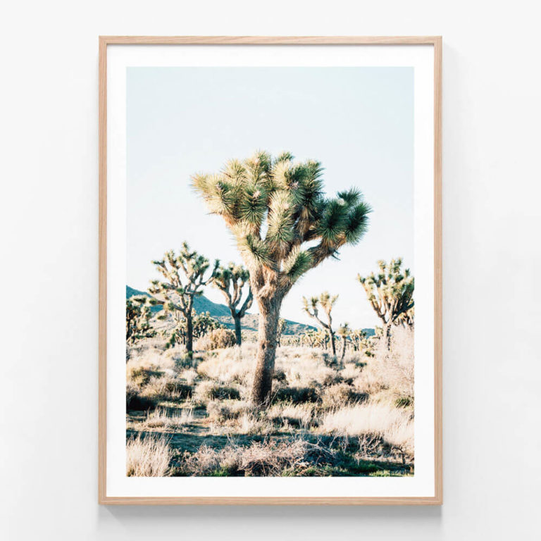 Desert-Center-Oak-Framed-Print