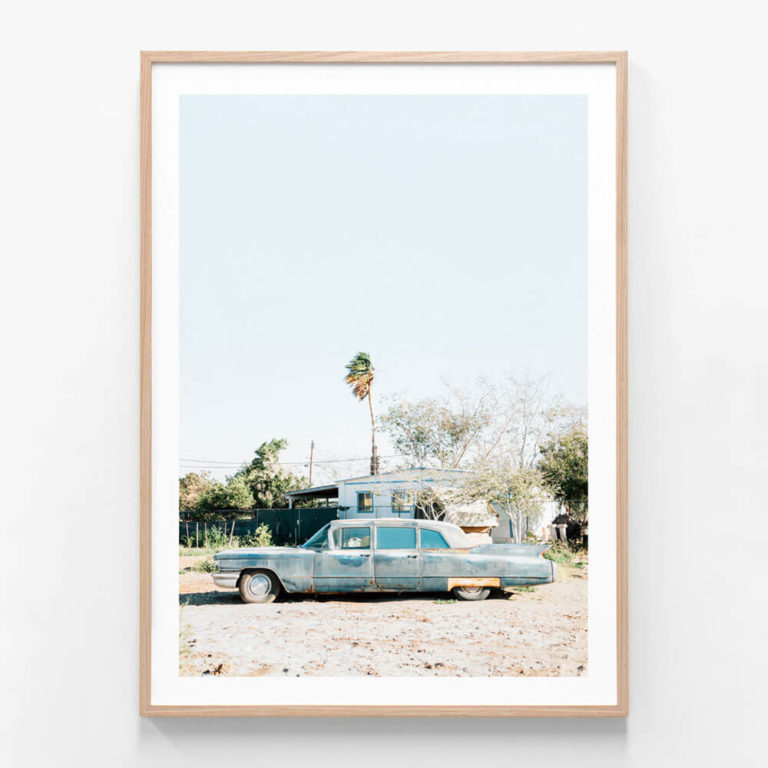 APP688-Desert-Caddy-Oak-Framed-Print