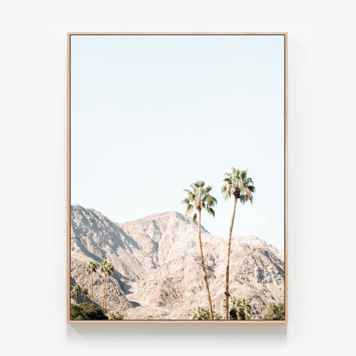 Palm-Springs-Mountains-Oak-Canvas-Print