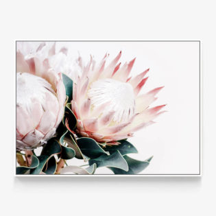 Protea Bouquet Canvas Wall Art Print | 41 Orchard
