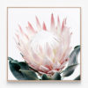 King-Protea-Oak-Canvas-Print