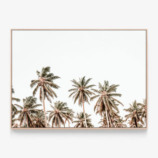 Hawaii-Palms-Oak-Canvas-Print