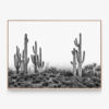 Saguaro-Sunrise-Oak-Canvas-Print