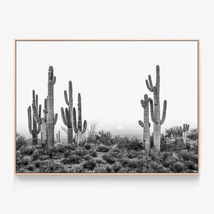 Saguaro-Sunrise-Oak-Canvas-Print