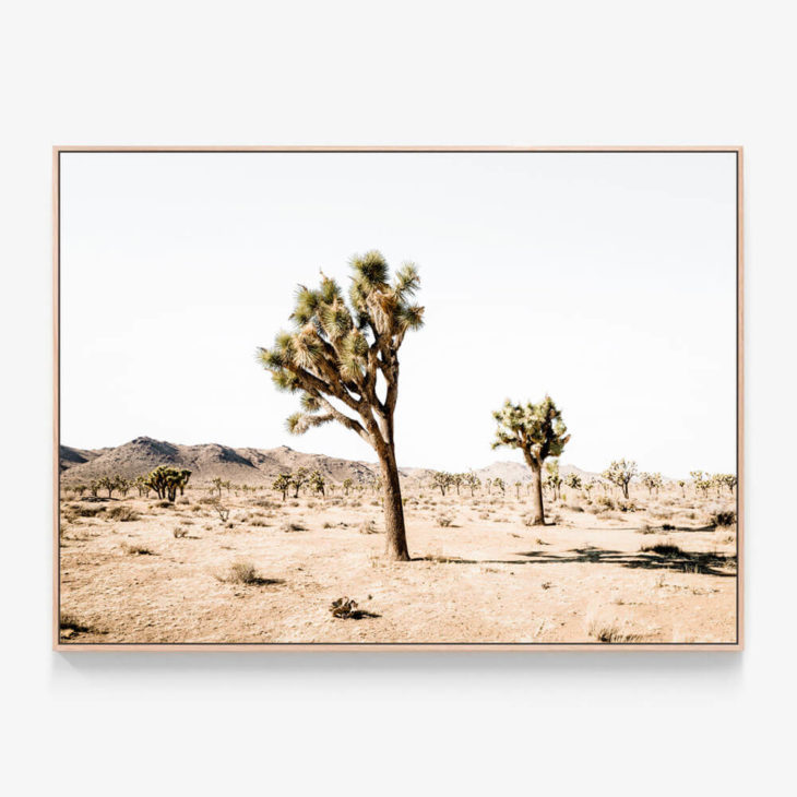 Yucca-Valley-Oak-Canvas-Print