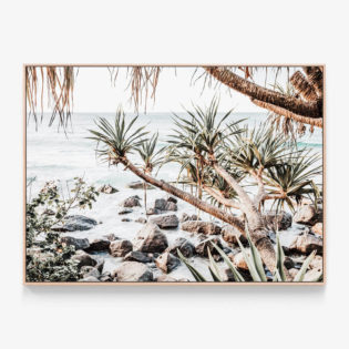 Coastal-Pines-Oak-Canvas-Print