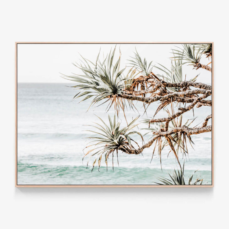 Pandanus-View-Oak-Canvas-Print