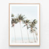 Swaying Palms Oak Framed Print