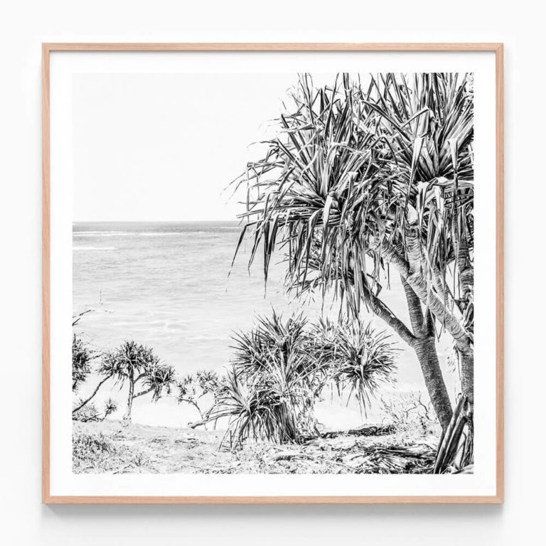 Pandanus-Palm-BW-Oak-Framed-Print