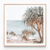 Pandanus Palm Oak Framed Print
