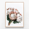 King Protea Bunch Oak Framed Print