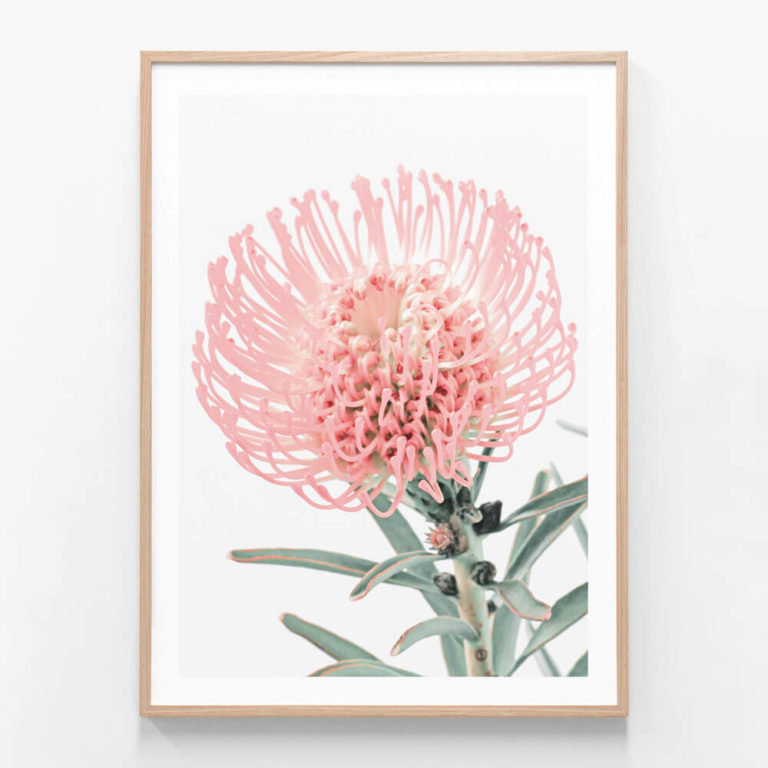 ingle-Pincushion-Oak-Framed-Print