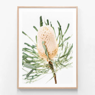 Light-Banksia-Oak-Framed-Print
