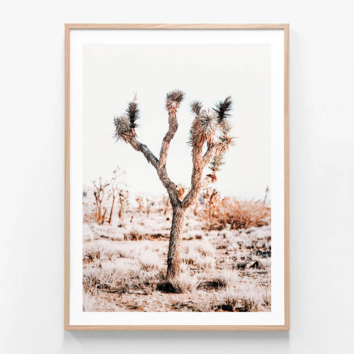 Coachella Oak Framed Print