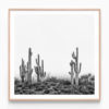 Saguaro Sunrise Oak Framed Print