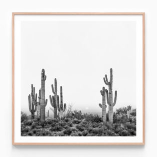 Saguaro Sunrise Oak Framed Print