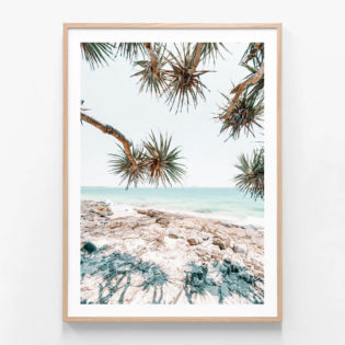 Noosa-Palms-Oak-Framed-Print