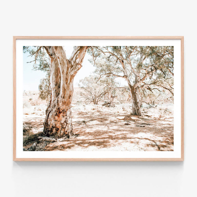 Outback-Oasis-Oak-Framed-Print