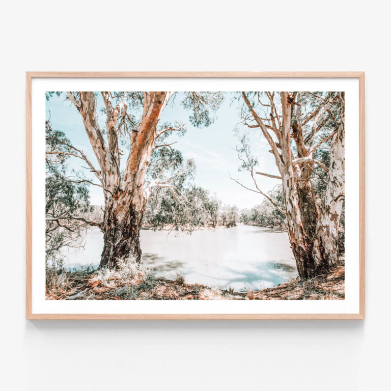 Murray-Banks-Oak-Framed-Print