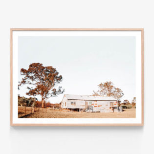 Shearing Shed Oak Framed Print