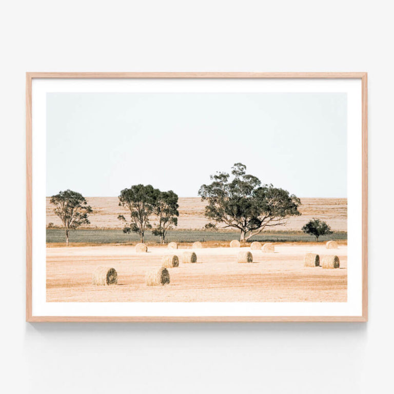 Outback-Fields-Oak-Framed-Print