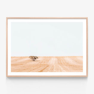 Golden-Harvest-Oak-Framed-Print