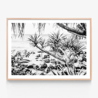 Coastal-Pines-Oak-Framed-Print