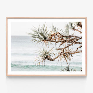 Pandanus View Oak Framed Print