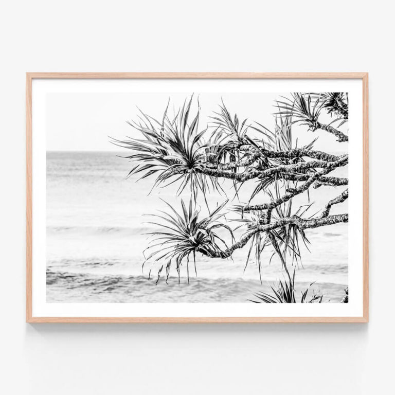 Pandanus-View-BW-Oak-Framed-Print