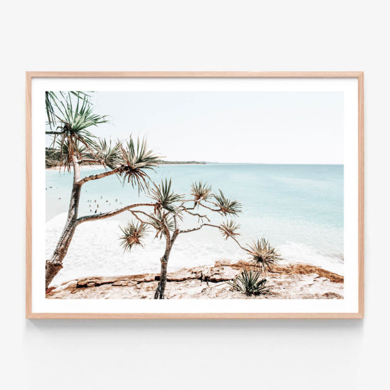 Northern Sun Oak Framed Print