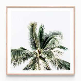 Summer Palms Oak Framed Print